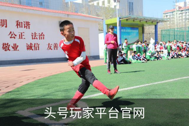 头号玩家平台官网公司简介图片